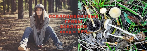 марки lsd Белоозёрский